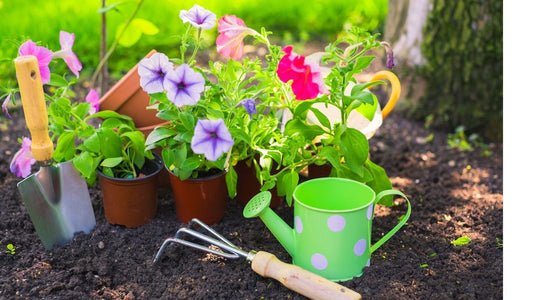 Le Jardinage – la thérapie verte qui apaise et guérit