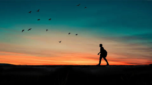Marcher plus, vivre mieux