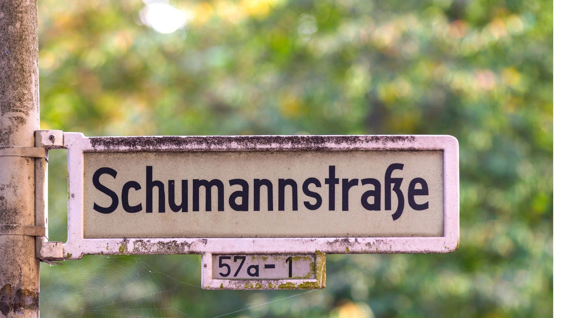 Qui est Winfried Otto Schumann?