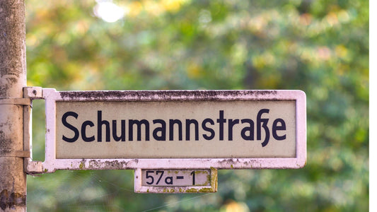 Qui est Winfried Otto Schumann?
