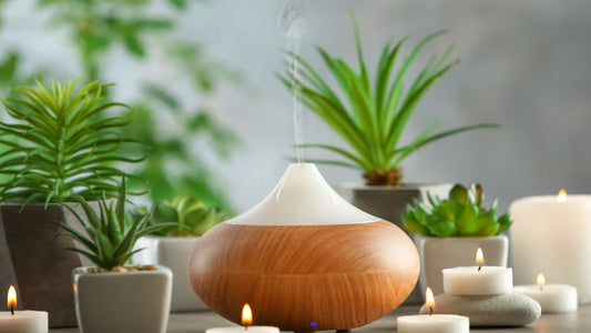 Meilleures plantes purificatrices